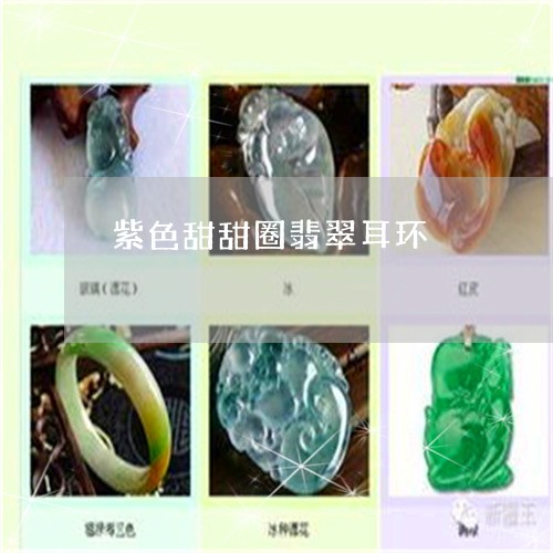 紫色甜甜圈翡翠耳环/2023041284058 紫色甜甜圈翡翠耳环/2023041284058