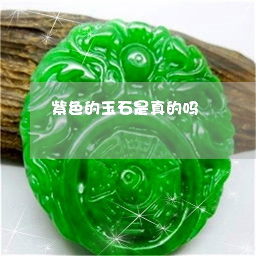 紫色的玉石是真的吗/2023041283069 紫色的玉石是真的吗/2023041283069