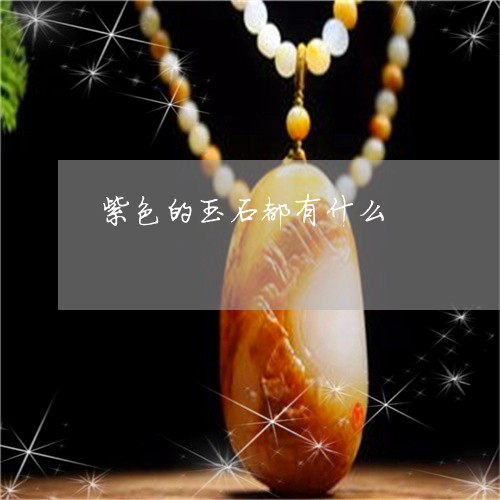 紫色的玉石都有什么/2023041204149 紫色的玉石都有什么/2023041204149
