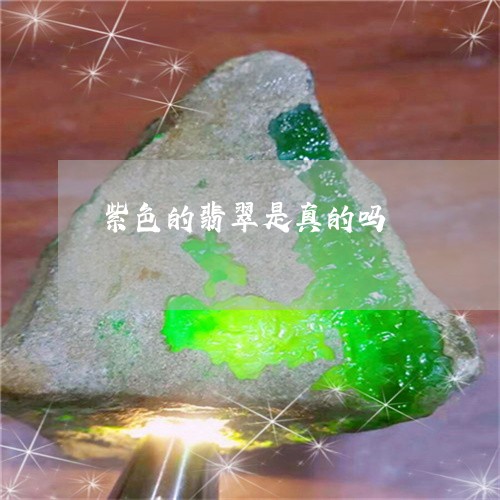 紫色的翡翠是真的吗/2023041289481 紫色的翡翠是真的吗/2023041289481