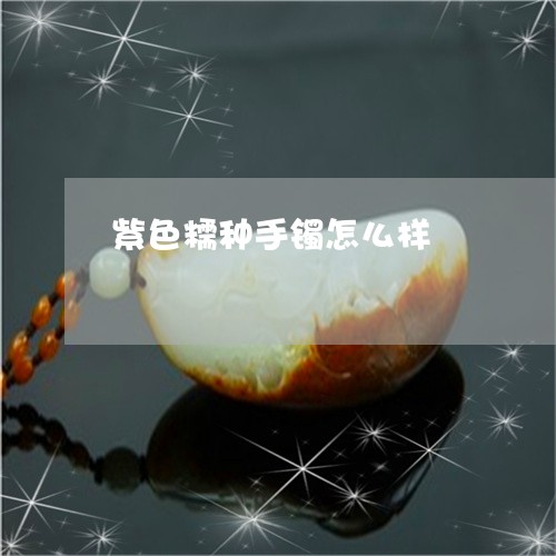 紫色糯种手镯怎么样/2023041229515