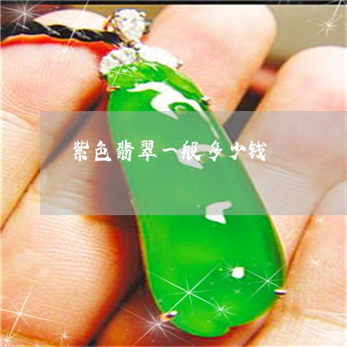 紫色翡翠一般多少钱/2023041232404