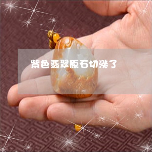 紫色翡翠原石切涨了/2023041216159