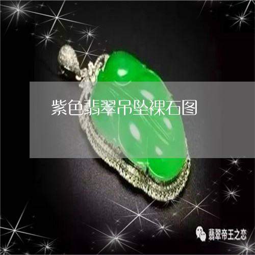 紫色翡翠吊坠裸石图/2023041219493 紫色翡翠吊坠裸石图/2023041219493