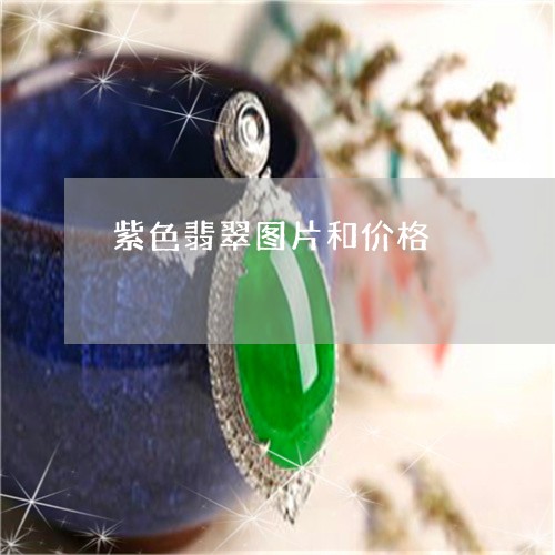紫色翡翠图片和价格/2023041219673 紫色翡翠图片和价格/2023041219673