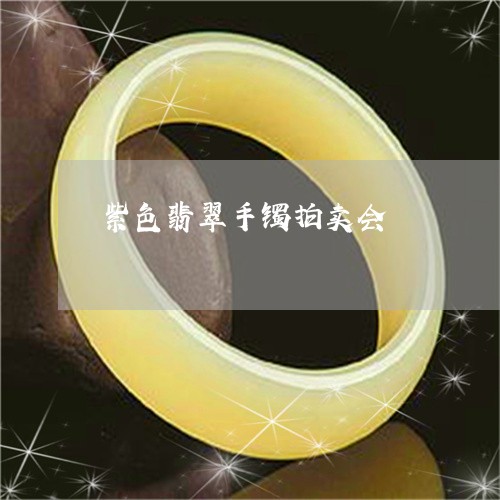 紫色翡翠手镯拍卖会/2023041202026 紫色翡翠手镯拍卖会/2023041202026