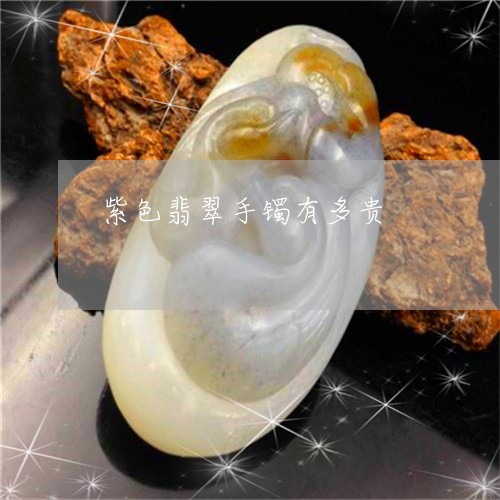 紫色翡翠手镯有多贵/2023041268604 紫色翡翠手镯有多贵/2023041268604