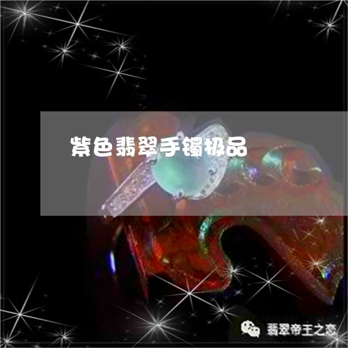 紫色翡翠手镯极品/2023031539615 紫色翡翠手镯极品/2023031539615