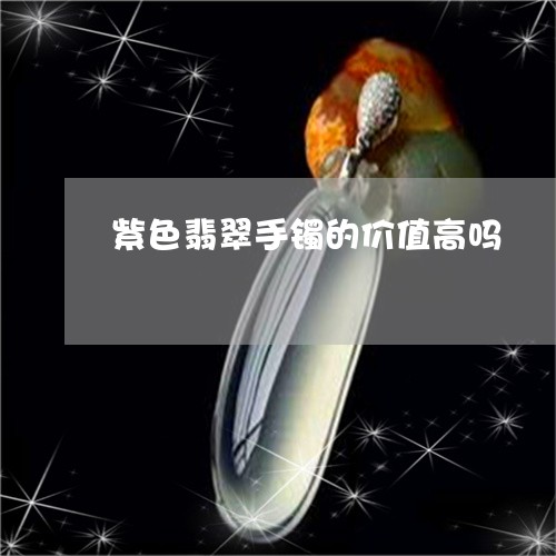 紫色翡翠手镯的价值高吗/2023061871493