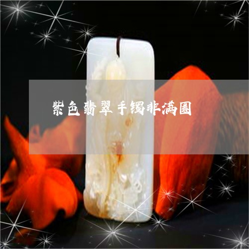 紫色翡翠手镯非满圈/2023041280605 紫色翡翠手镯非满圈/2023041280605