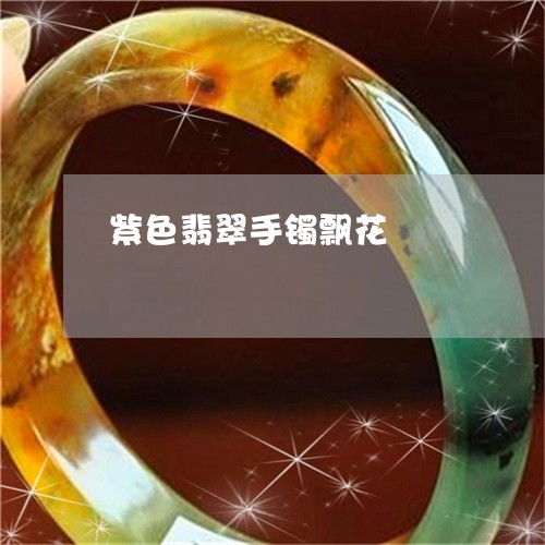 紫色翡翠手镯飘花/2023031552794