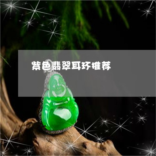 紫色翡翠耳环推荐/2023031590503 紫色翡翠耳环推荐/2023031590503