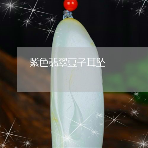 紫色翡翠豆子耳坠/2023061530613