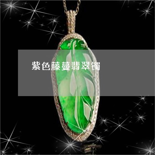 紫色藤蔓翡翠镯/2023032872402 紫色藤蔓翡翠镯/2023032872402
