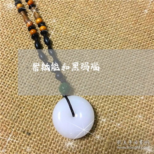 紫钛能和黑玛瑙/2023032932403 紫钛能和黑玛瑙/2023032932403