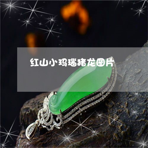 红山小玛瑙猪龙图片/2023041338503 红山小玛瑙猪龙图片/2023041338503