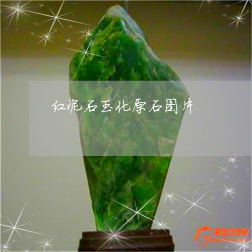 红泥石玉化原石图片/2023041376250 红泥石玉化原石图片/2023041376250
