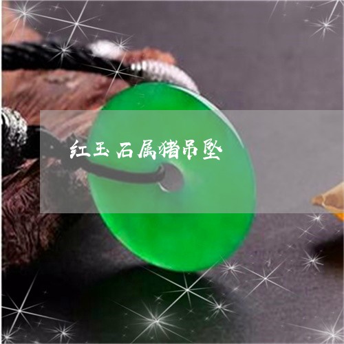 红玉石属猪吊坠/2023032959694 红玉石属猪吊坠/2023032959694