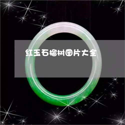 红玉石榴树图片大全/2023041384839 红玉石榴树图片大全/2023041384839