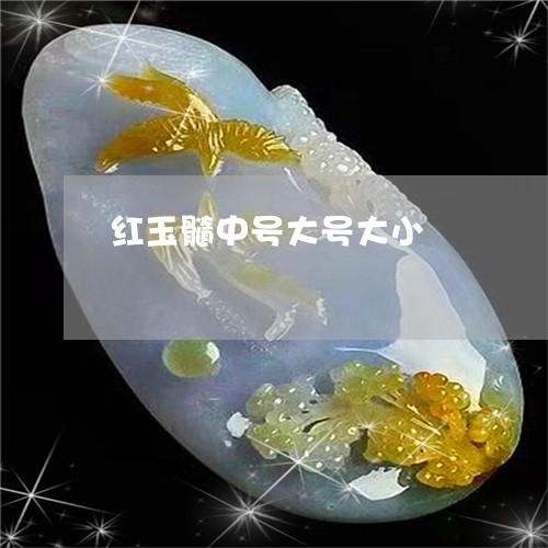 红玉髓中号大号大小/2023041386261