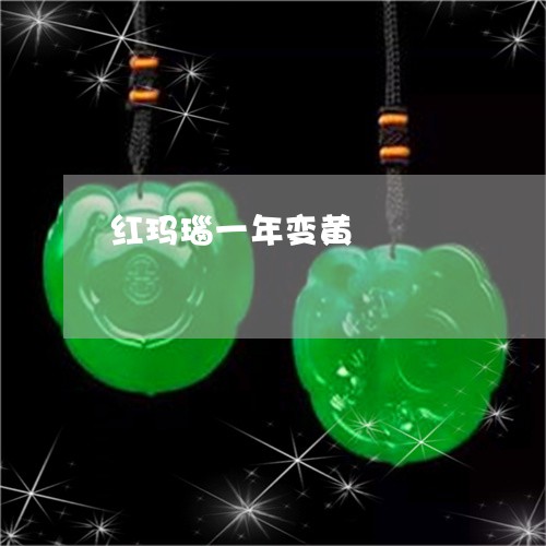 红玛瑙一年变黄/2023032982825 红玛瑙一年变黄/2023032982825