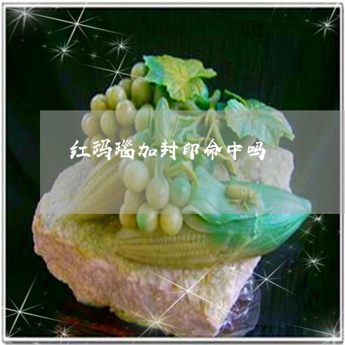 红玛瑙加封印命中吗/2023041374947 红玛瑙加封印命中吗/2023041374947
