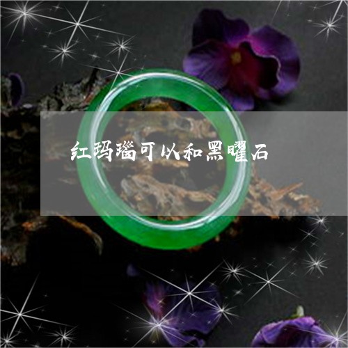 红玛瑙可以和黑曜石/2023041358573 红玛瑙可以和黑曜石/2023041358573