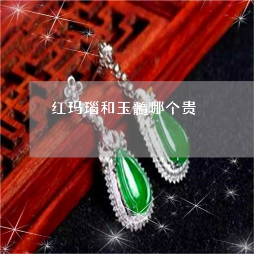 红玛瑙和玉髓哪个贵/2023041317168 红玛瑙和玉髓哪个贵/2023041317168