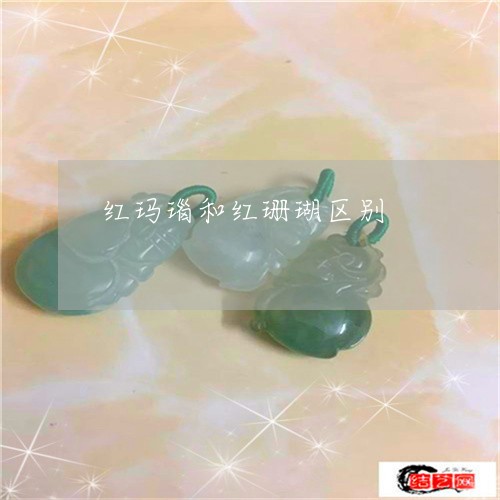 红玛瑙和红珊瑚区别/2023041239403