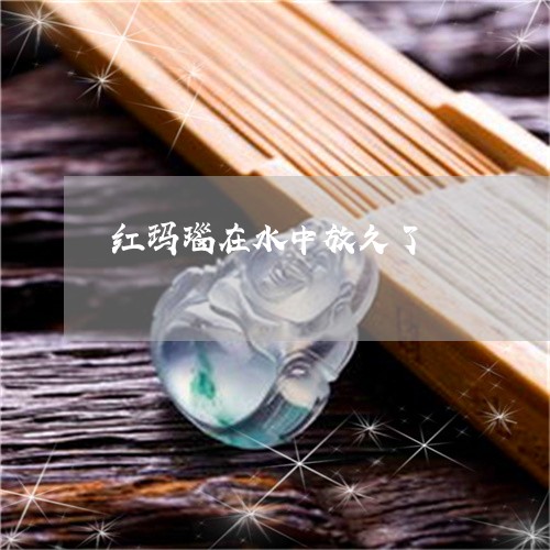 红玛瑙在水中放久了/2023041229492 红玛瑙在水中放久了/2023041229492