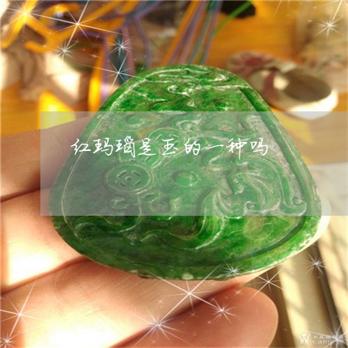 红玛瑙是玉的一种吗/2023041343848 红玛瑙是玉的一种吗/2023041343848