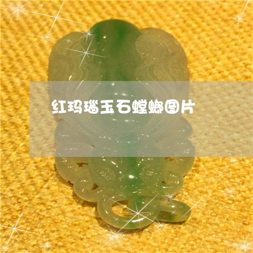 红玛瑙玉石螳螂图片/2023041240404
