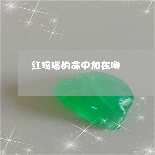 红玛瑙的命中加在哪/2023041350613 红玛瑙的命中加在哪/2023041350613