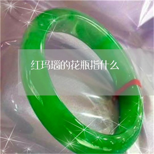 红玛瑙的花瓶指什么/2023041377350