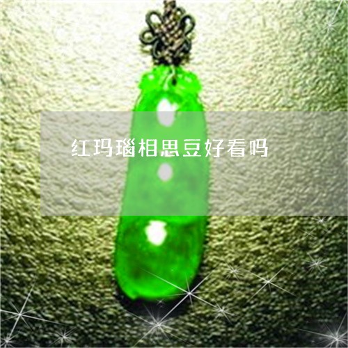 红玛瑙相思豆好看吗/2023041375250