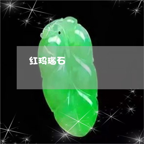 红玛瑙石/2023032161491 红玛瑙石/2023032161491