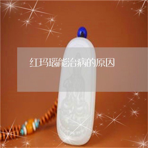 红玛瑙能治病的原因/2023041362748 红玛瑙能治病的原因/2023041362748