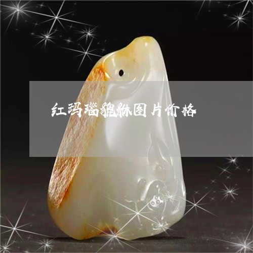 红玛瑙貔貅图片价格/2023041308372