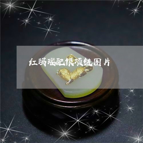 红玛瑙配银项链图片/2023041202144