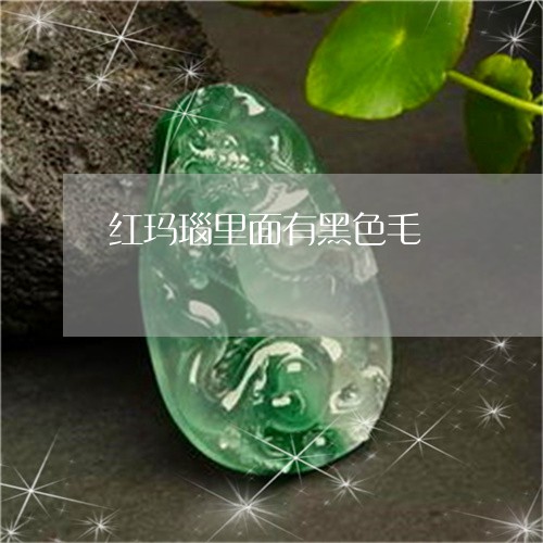红玛瑙里面有黑色毛/2023041383506 红玛瑙里面有黑色毛/2023041383506