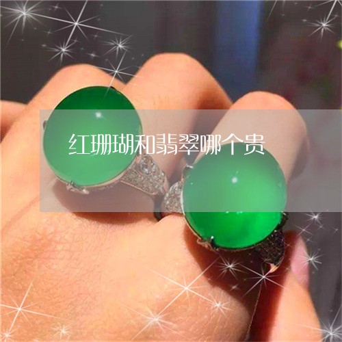 红珊瑚和翡翠哪个贵/2023041312938 红珊瑚和翡翠哪个贵/2023041312938