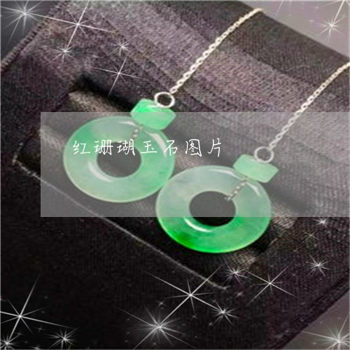 红珊瑚玉石图片/2023032827070