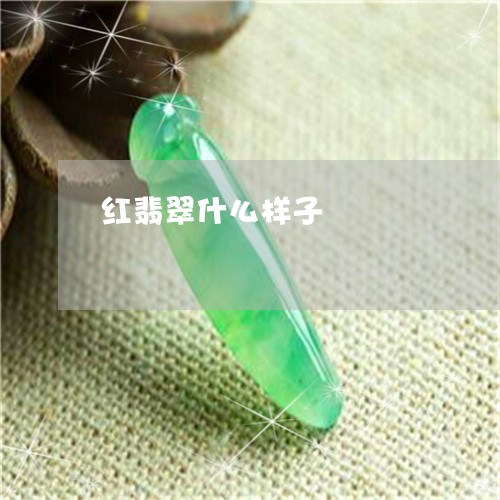 红翡翠什么样子/2023032806837 红翡翠什么样子/2023032806837