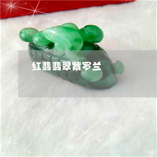 红翡翡翠紫罗兰/2023032952605 红翡翡翠紫罗兰/2023032952605
