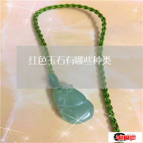 红色玉石有哪些种类/2023041306241 红色玉石有哪些种类/2023041306241
