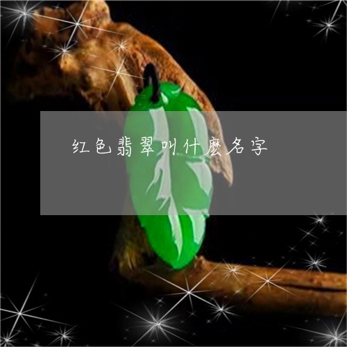 红色翡翠叫什麽名字/2023041340824 红色翡翠叫什麽名字/2023041340824