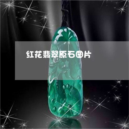 红花翡翠原石图片/2023031533949