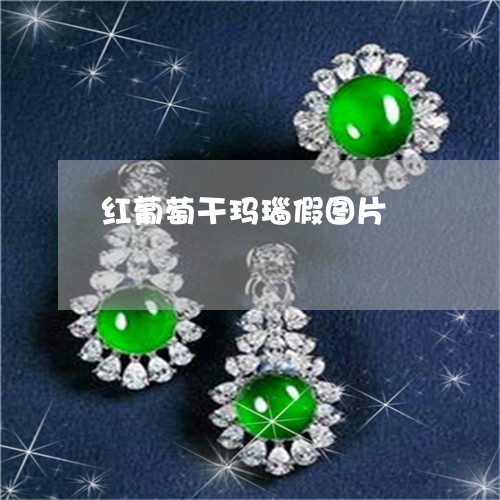 红葡萄干玛瑙假图片/2023041331594