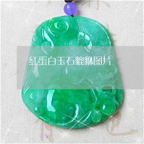 红蛋白玉石貔貅图片/2023041381705 红蛋白玉石貔貅图片/2023041381705