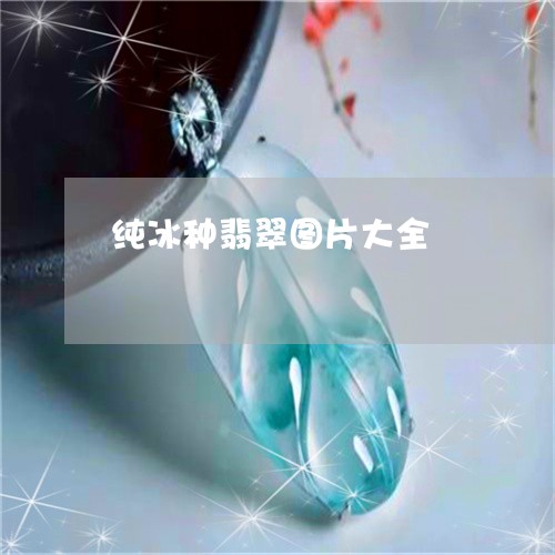 纯冰种翡翠图片大全/2023041294059 纯冰种翡翠图片大全/2023041294059